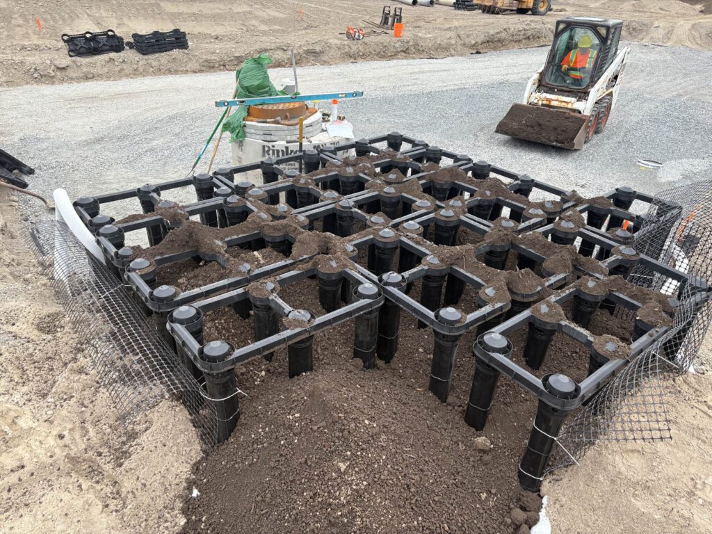 Silva Cells in Ontario